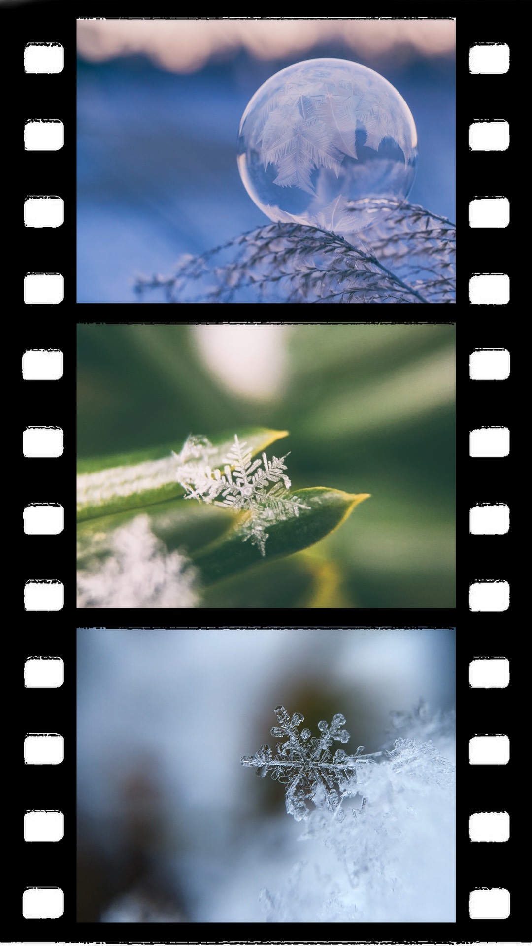 A Series Of Three Photographs Of Snow Flakes Template