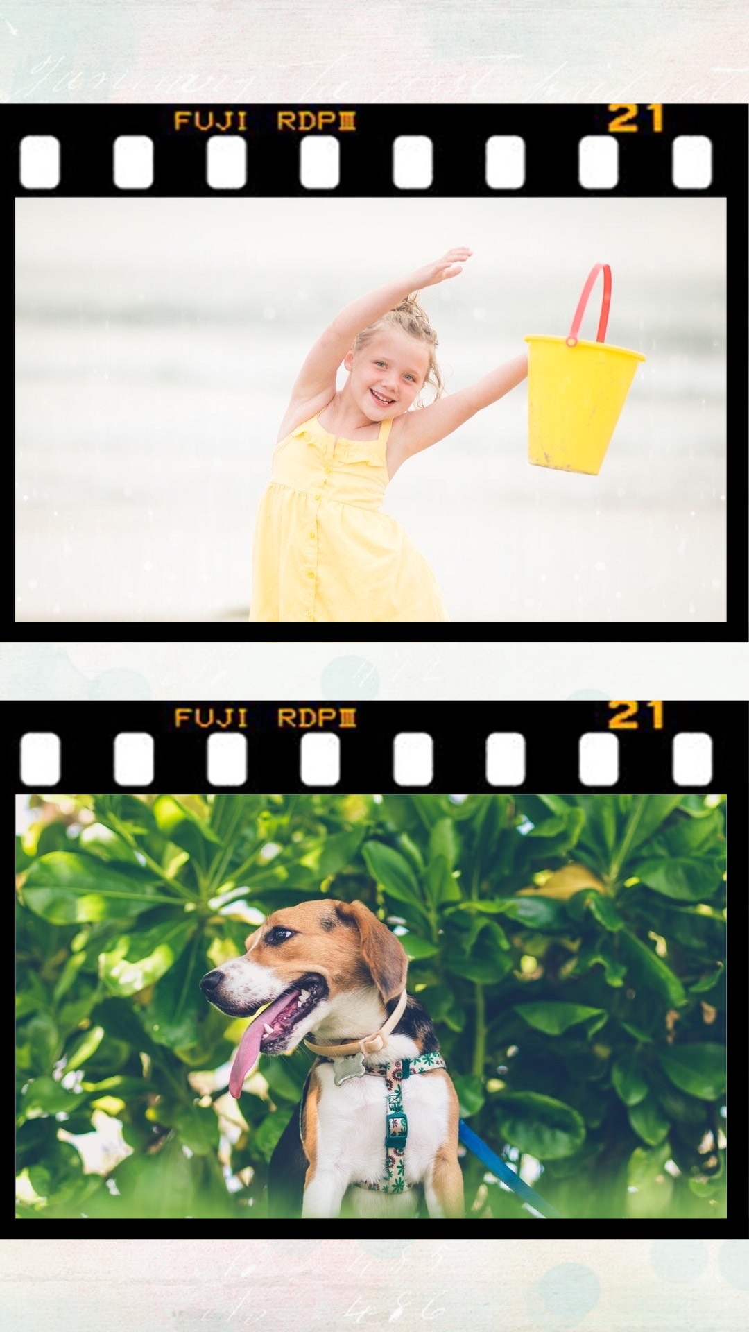 Two Pictures Of A Little Girl And A Dog Template