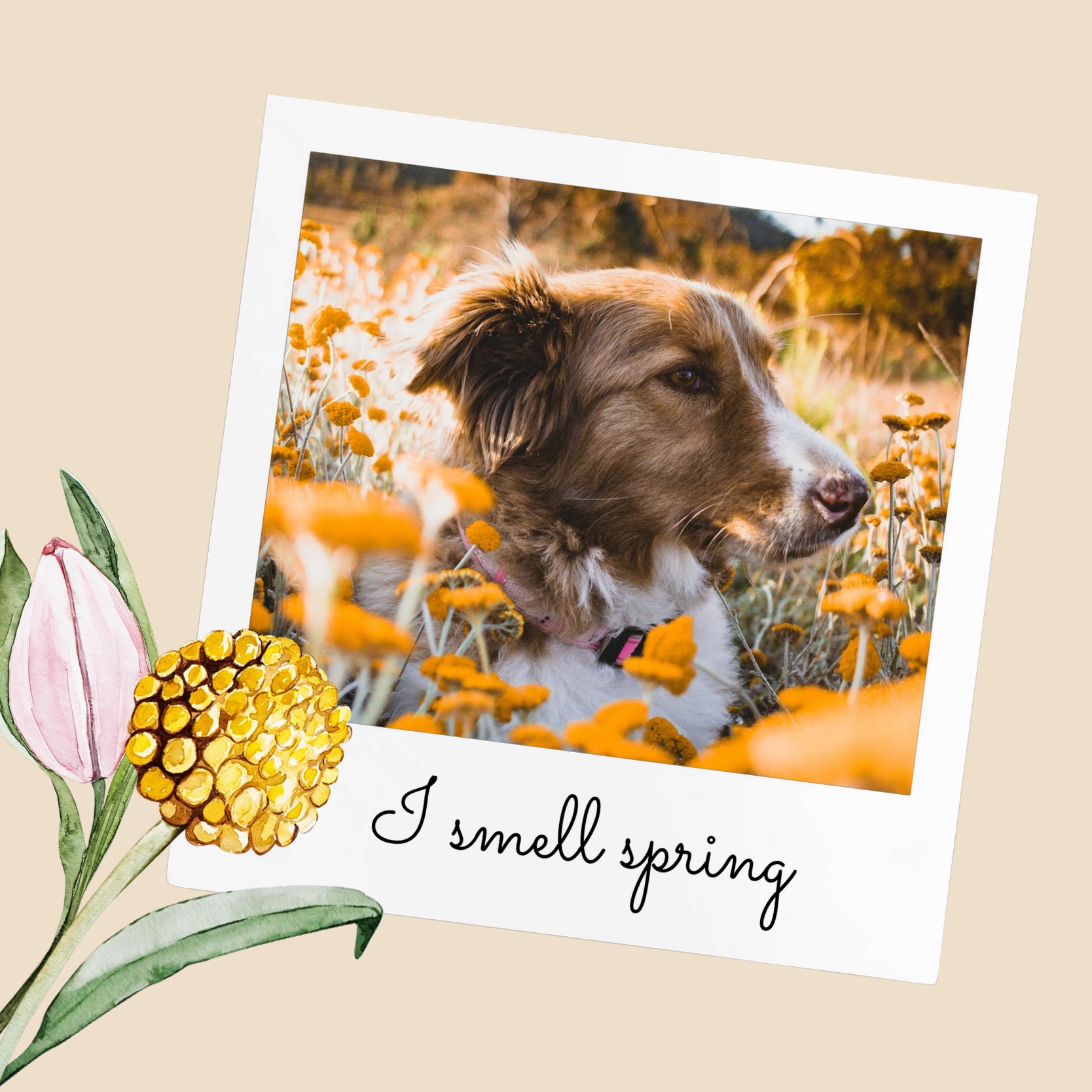 A photo of a Dog and flowers Hello Spring Template