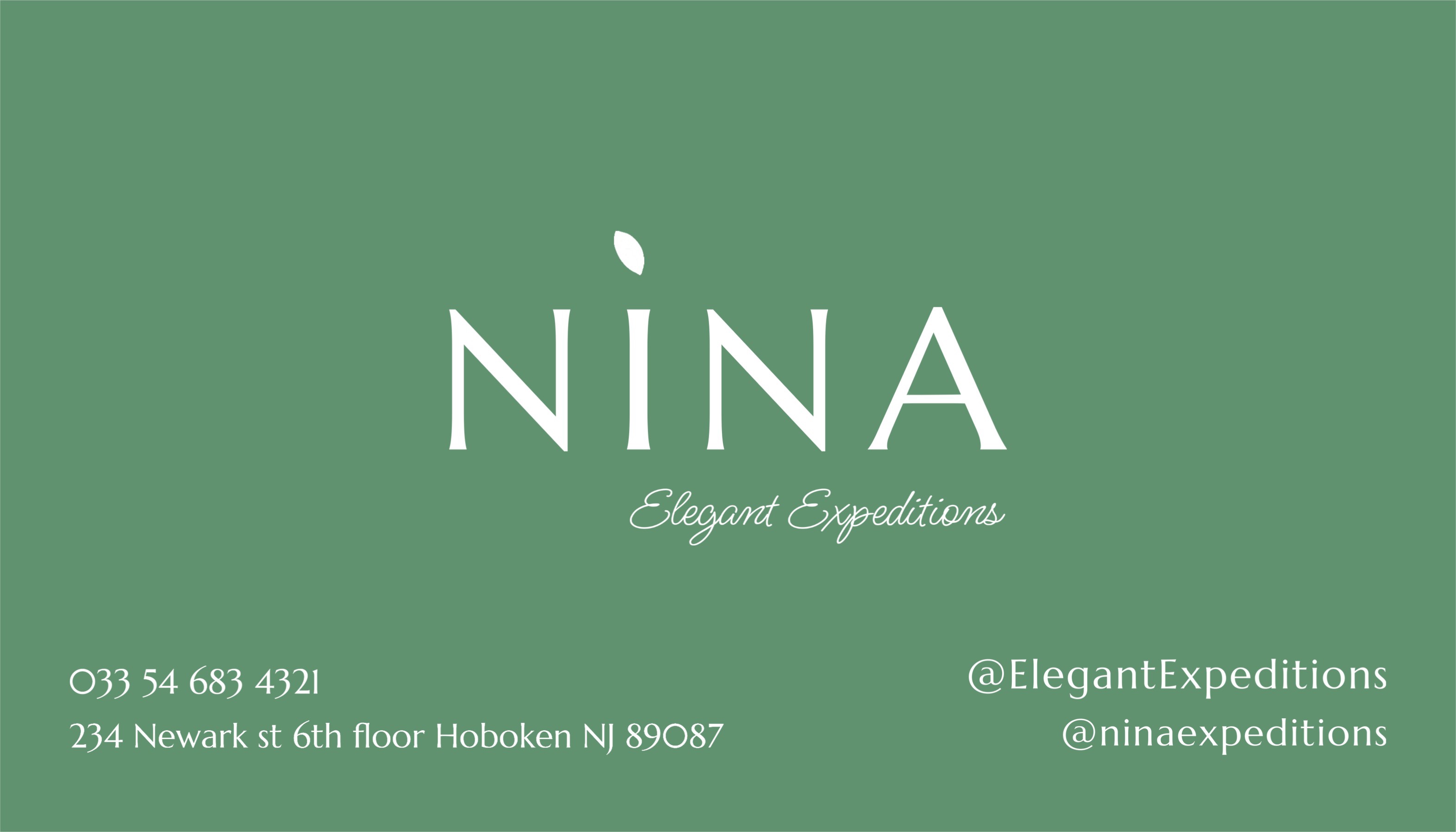 Nina expedition cute minimalistic logo green and white business card