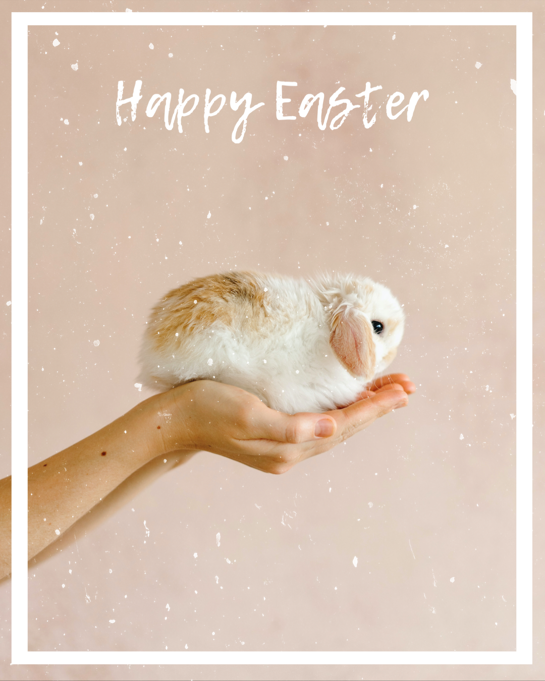 Cute rabbit happy easter wishes template
