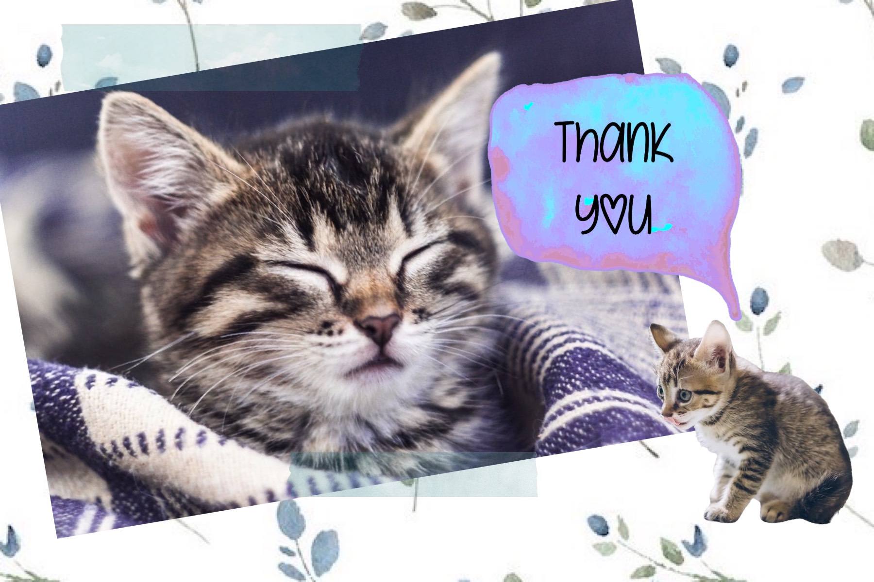 A Picture Of A Cat And A Kitten With A Thank You Message Thank You Template