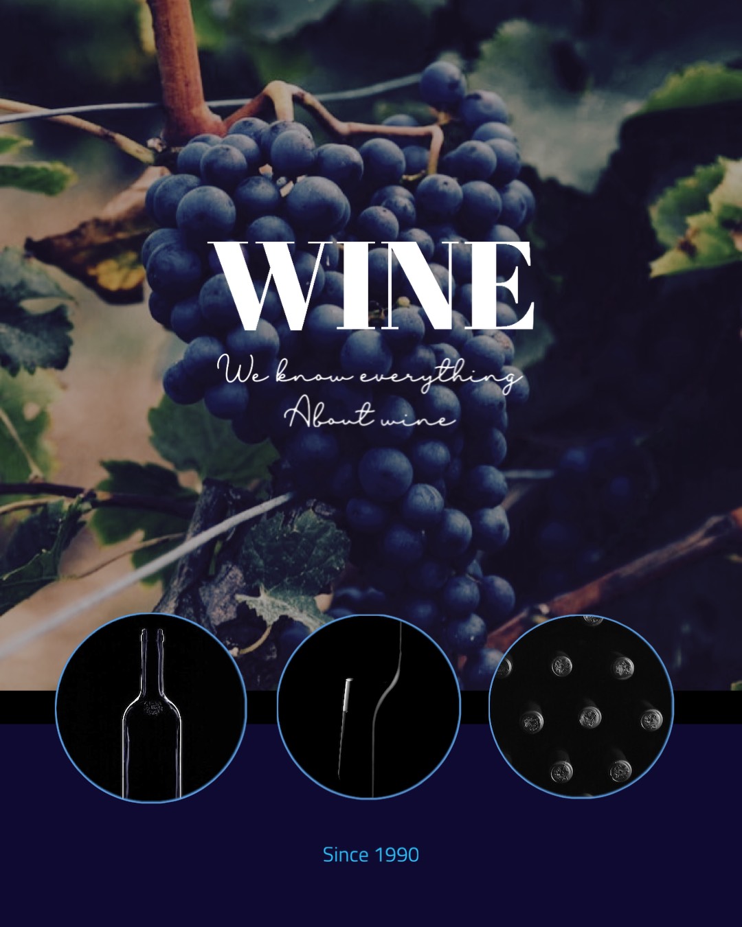 A Bunch Of Grapes Hanging From A Vine Foodie Template