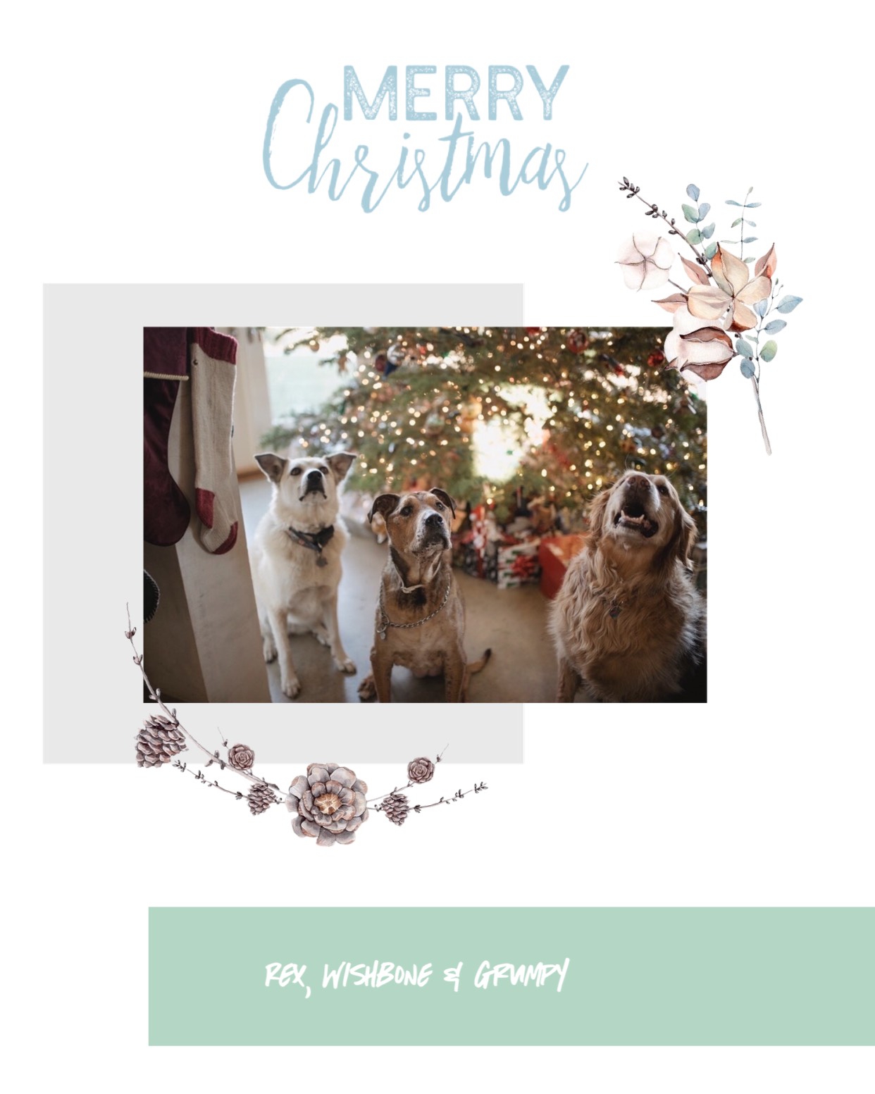 Merry Christmas Card With Three Dogs In Front Of A Christmas Tree Template