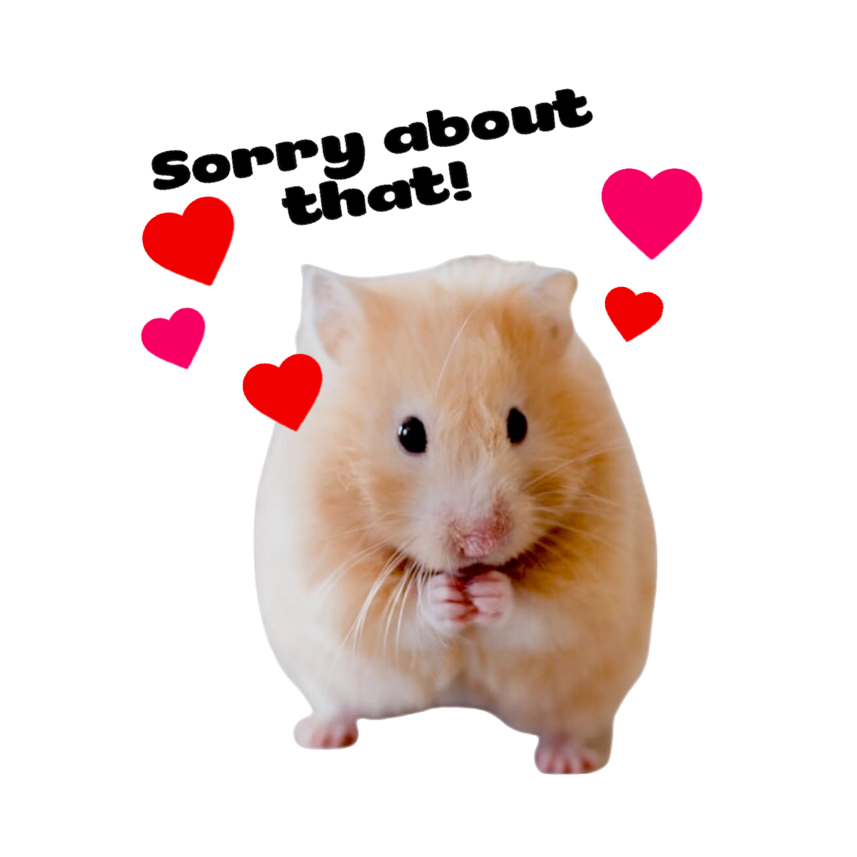 A Hamster With A Speech Bubble Saying Sorry About That Whatsapp Stickers Template