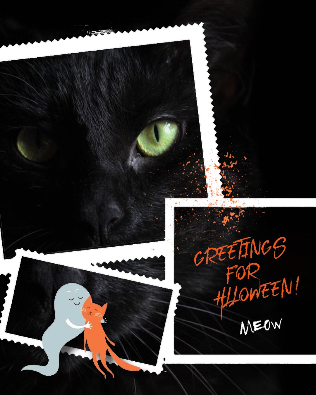 A Picture Of A Black Cat With Green Eyes Halloween Template